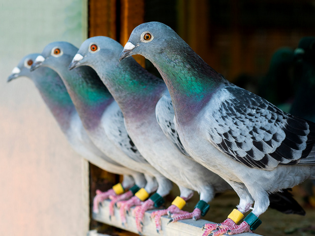 October 2025 Socialist Standard