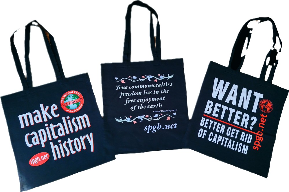 Socialist Party custom printed cotton bags - Want Better - Image 2